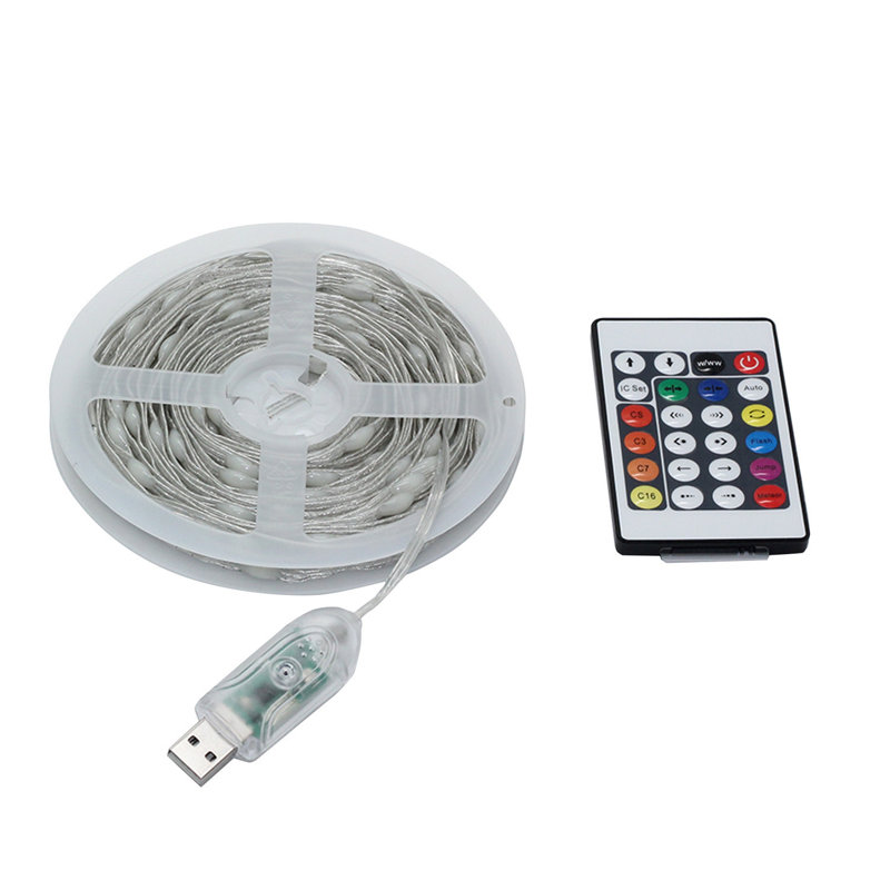 Shareva 1 - Bulb 787'' Plug-in LED String Light