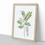 Acacia Tree Flowers by Pierre-Joseph Redoute - Single Picture Frame Painting-55547481-55547482