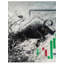 Reproduction de peinture