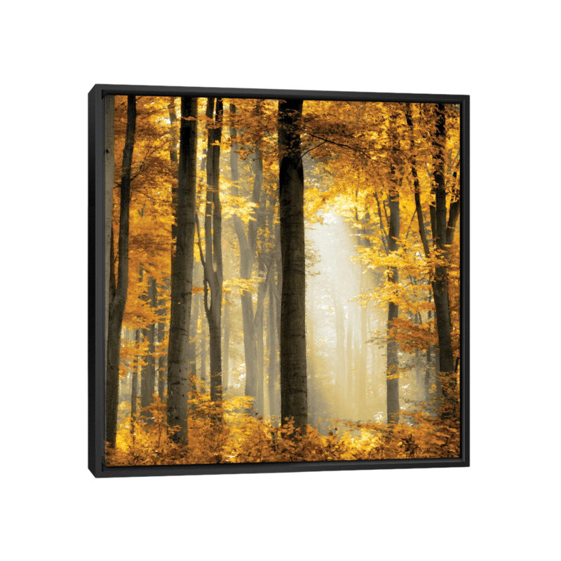 «Sunlit Forest II», impression sur toile, H 18 po x l 18 po x P 1,5 po, Toile avec cadre noir, Pas de tapis