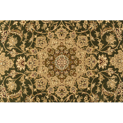 Willett Oriental Indoor Rug