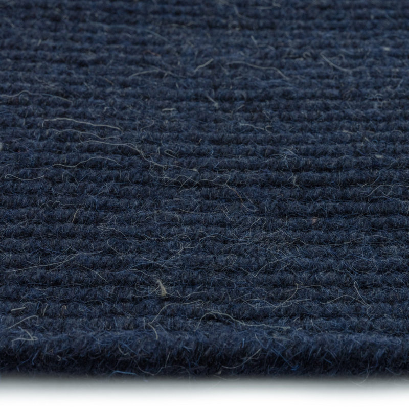 Tanmay Performance Hand Loomed Wool Indoor Rug, Rectangle 10' x 14'