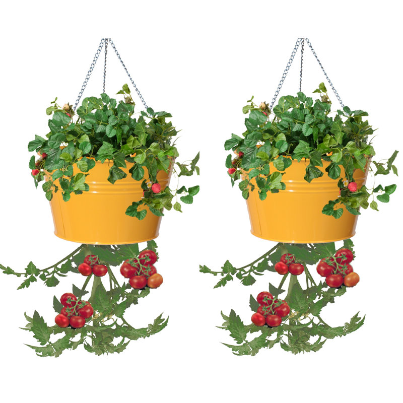 Pot à fleurs suspendu en métal Christianne, Safran