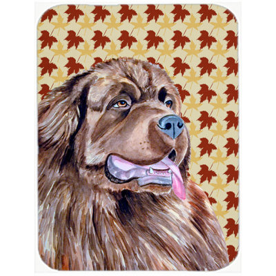 East Urban Home Newfoundland Portrait Glass Cutting Board