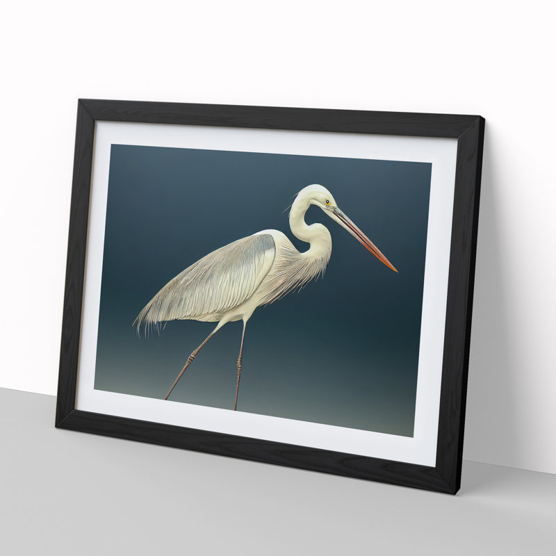 Astounding Heron Bird - Single Picture Frame Print, Black Framed, 25cm H x 34cm W x 2cm D