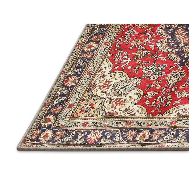Rehaan Oriental Indoor Rug, Rectangle 3' x 5'