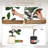 Artificial Rubber Tree with Magnolia Flowers-1901023540