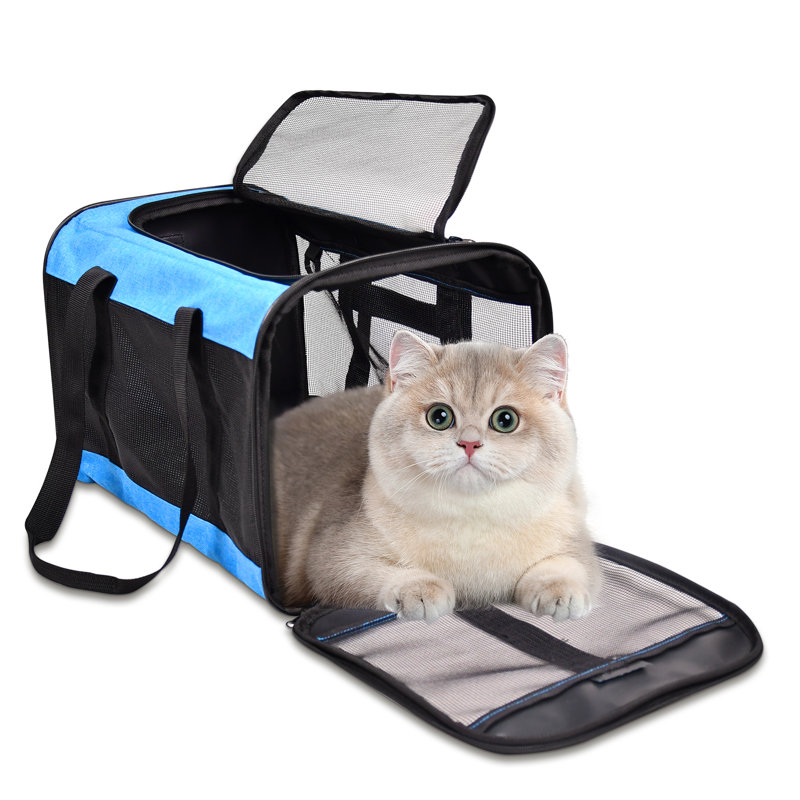 Porte-chat à parois souples, 17 po, noir, Bleu
