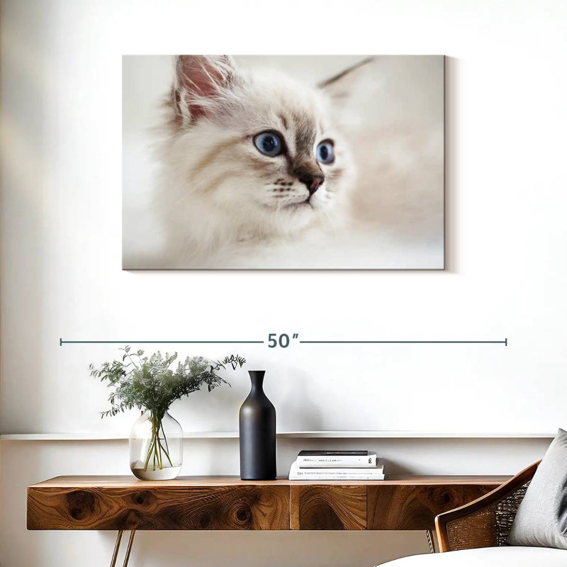 Brampt Neva Masquerade Cat, 24" H x 36" W