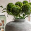 Arrangement