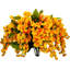Fleurs et tiges de glycine-479851205