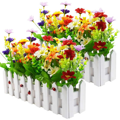 Daisy Arrangement in Pot
