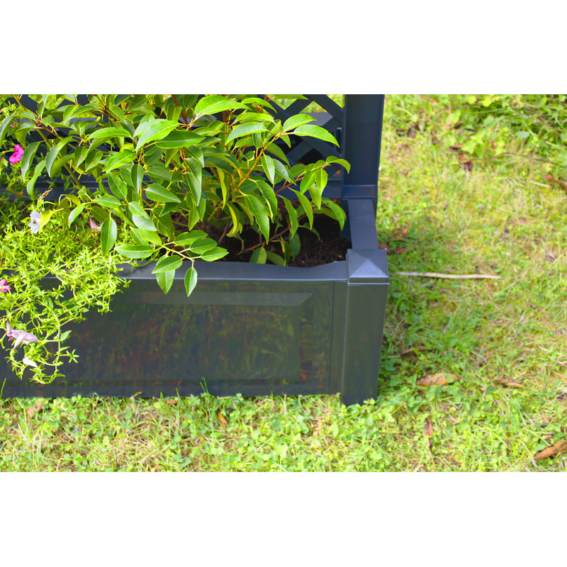 Planter Box, Anthracite