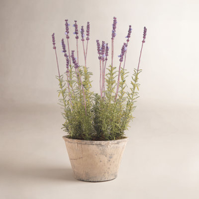Lavender Floral Arrangement