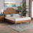 Brehanna Baxton Studio Macaria Mid-Century Modern Ash Walnut Woven Bed-713359