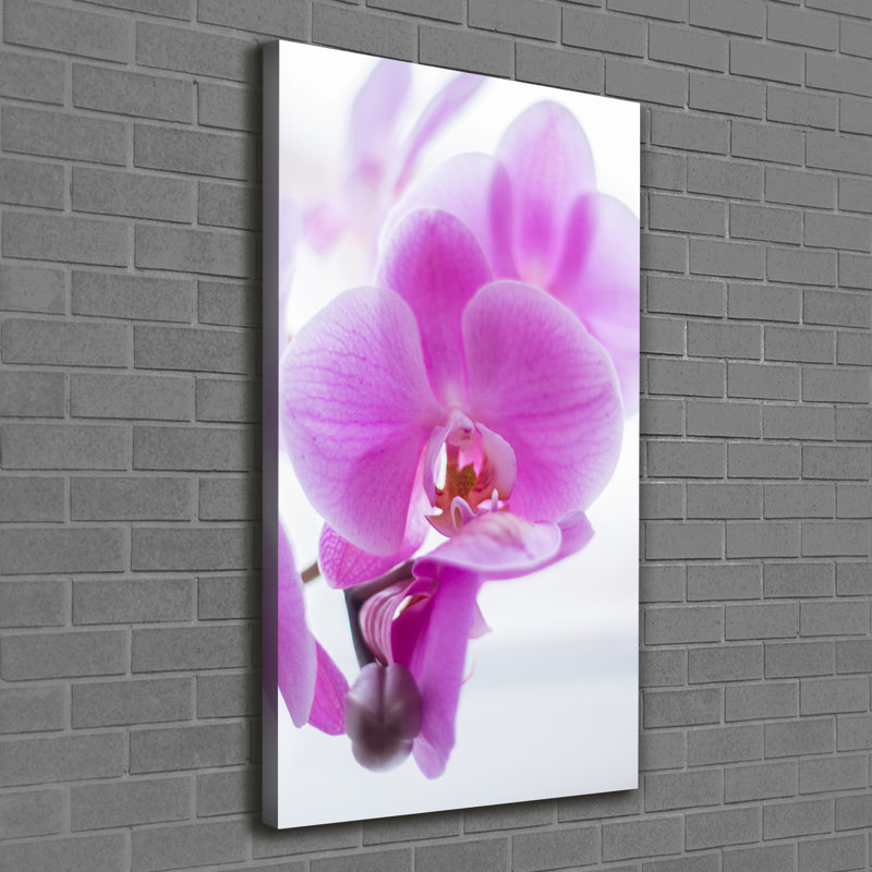Pink Orchid - Wrapped Canvas Print