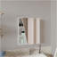 Pharmacie, 1 porte, 5 tablettes, 1 miroir, blanc