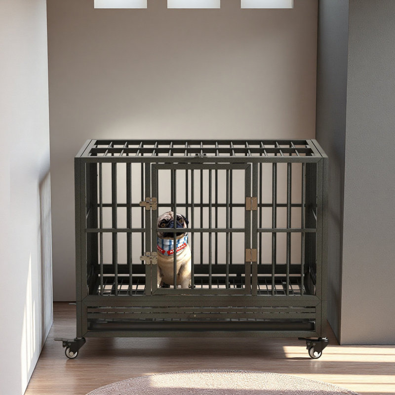 Cage pour chien robuste 36 chenils en métal avec roues verrouillables et plateau amovible