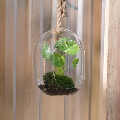 Glass Terrarium