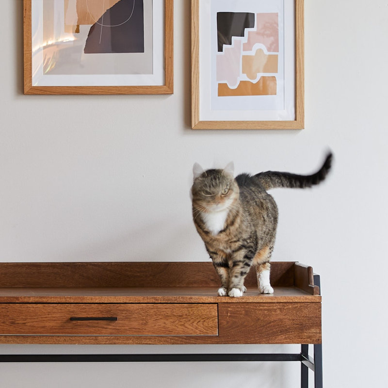 Hedda Solid Wood Writing Desk