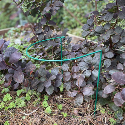 Aiedan Metal Weather Resistant Plant Support