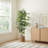 72" Artificial Ficus Tree in Basket