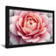 Plantes et fleurs, impression de motif floral rose-655175469-655175504-655175471