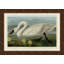 Swan Giclee On Canvas-52451908