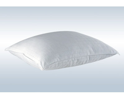  Alpine Cotton Throw Pillow Insert