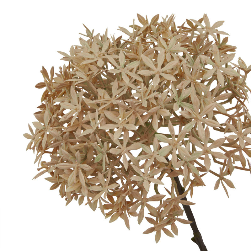 Arrangement, 63 cm H x 5 cm W x 5 cm D, Brown