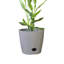 Ensemble de pots à fleurs auto-arrosants Bamboo Blooms - rond 10 po-1227926553