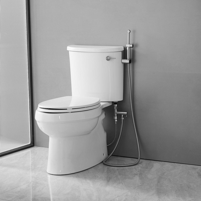 Non-Electric Bidet Sprayer For Toilet Handheld Brass Bidet Attachment Diaper Sprayer Wall Toilet Mount, Brushed Nickel