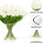 Imitation white tulip
