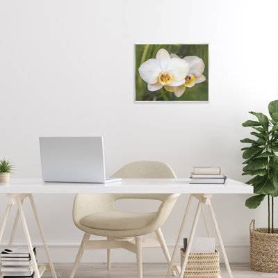 Orchid Blossom Glow Wall Plaque, design by Seven Trees Design