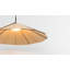 Sepal 1 - Light Cone LED Pendant