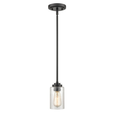1 - Light Unique/Statement Pendant