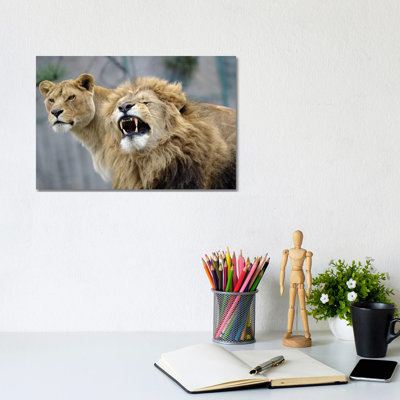 Beauty Lions by Goran Anastasovski - Wrapped Canvas Print