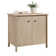 31.5'' Wide 1 - Shelf Storage Cabinet
