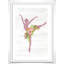 Ballet toute la journée 3-48163333-48169473
