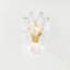 Darcia 2 Light Wall Sconce