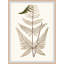 Elevated Undergrowth 4 Print by Art House Studios-856894666