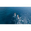 Inflatable Paddle Board With Exceptional Load Capacity, Complete With SUP Accessories, 3 Removable Fins, And 3-Piece Adjustable Single Paddle. This Non-Slip Adult Paddleboard Comes In A Variety Of Designs And Sizes.-2689370-2689371