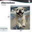 «Sunny Paws Dog on Beach», conception de Svetlana Aleynikova-1630957982