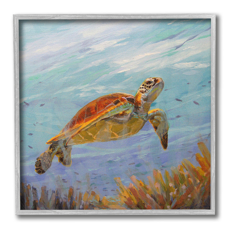 Tortue parmi les récifs coralliens, estampe numérique par Sandy Nelson, Estampe numérique encadrée blanc bord de mer