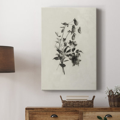 Motif floral rétro vintage CCXXXV - galerie Cavas