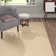 Fancy Beige Rug