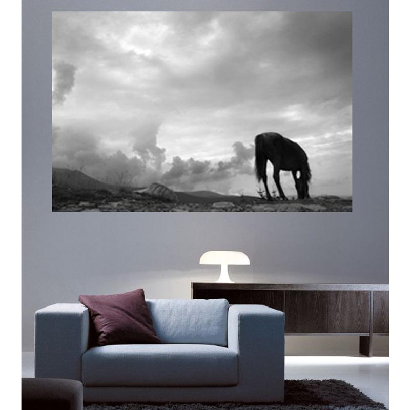 Affiche brillante «Grazing Horse», H 24 po x l 36 po x P 0,1 po