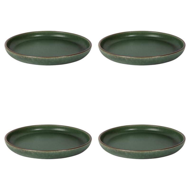 Ensemble de 4 assiettes plates Mosswood