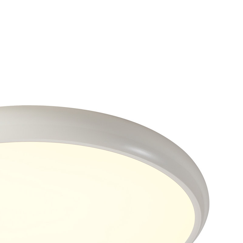 Modern Round LED Flush Mount Ceiling Light, Silver