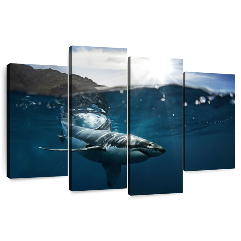Brampt Shark Sunshine, 22" H x 36" W